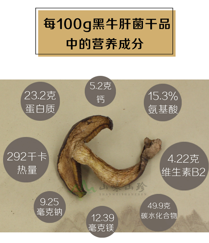 干黑牛肝菌营养价值