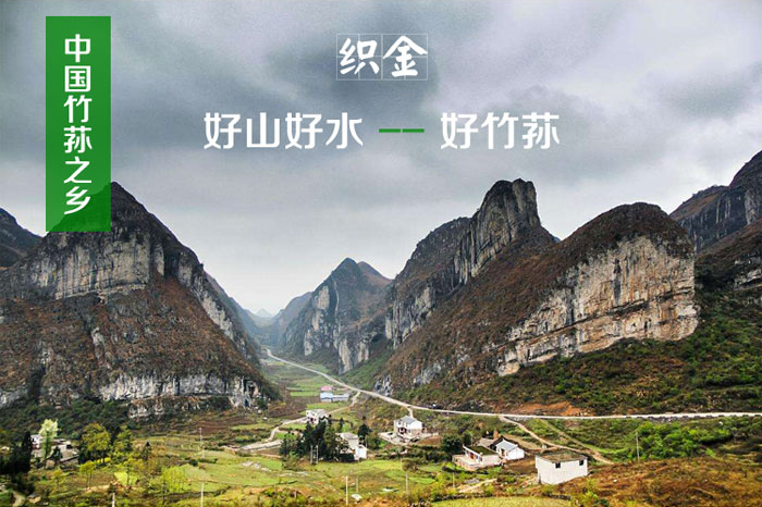 中国竹荪之乡