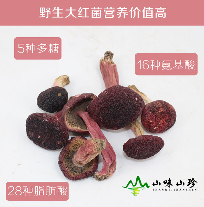 野生大红菌营养价值