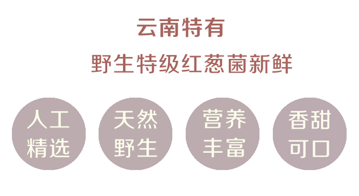 新鲜红葱菌特点