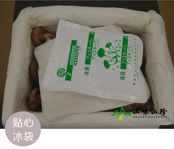 新鲜红葱牛肝菌冰袋保鲜