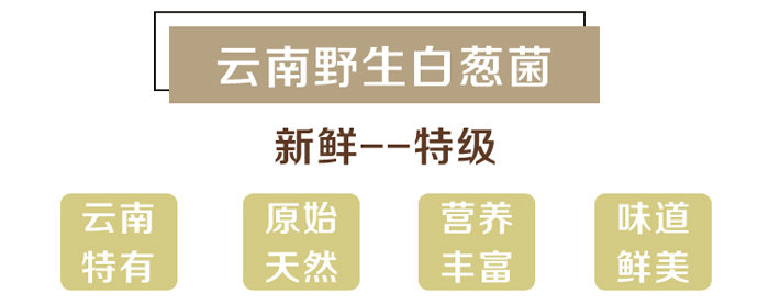 新鲜白葱菌特点