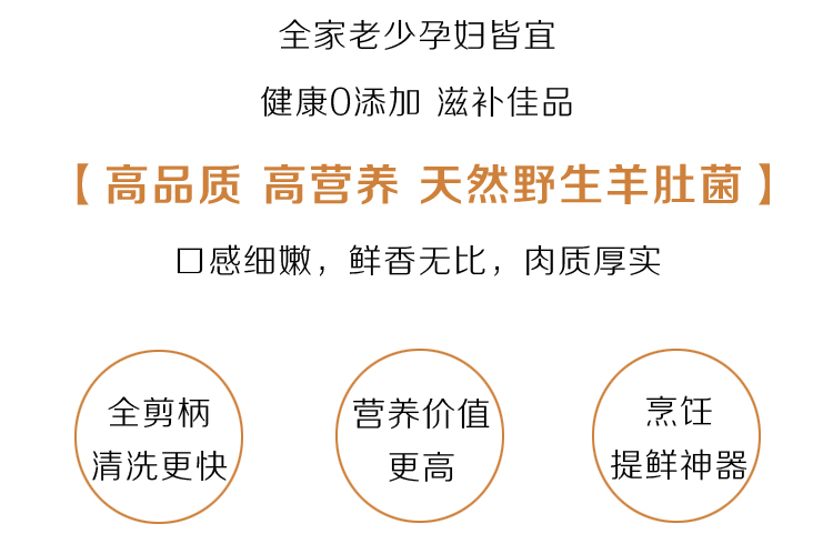 野生羊肚菌特点 野生羊肚菌特点