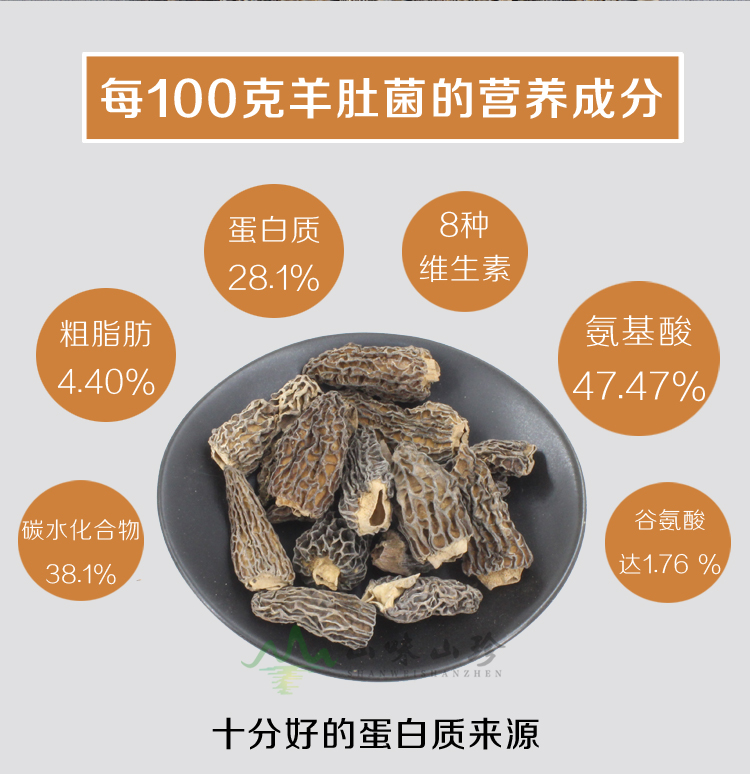 野生羊肚菌营养价值 野生羊肚菌营养价值
