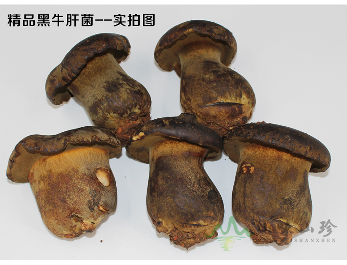 新鲜黑牛肝菌多少钱一斤