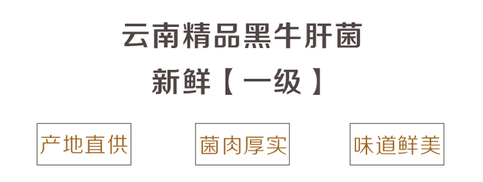 精选新鲜黑牛肝菌