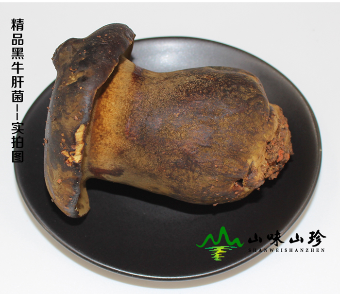精品新鲜黑牛肝菌价格