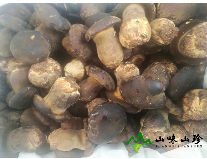 新鲜黑牛肝菌价格多少钱一斤