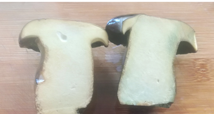 新鲜黑牛肝菌切面