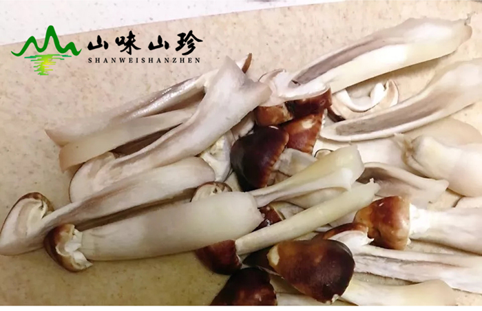 新鲜姬松茸切片