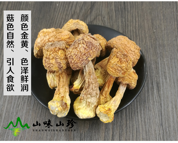 干姬松茸批发