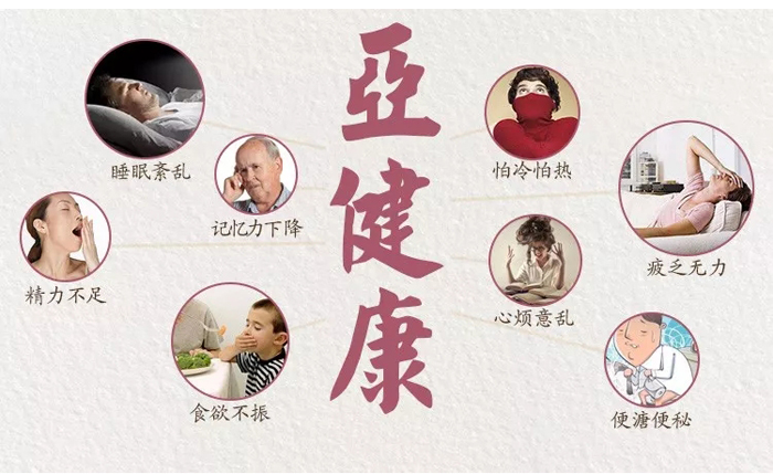 干姬松茸适合哪些人群
