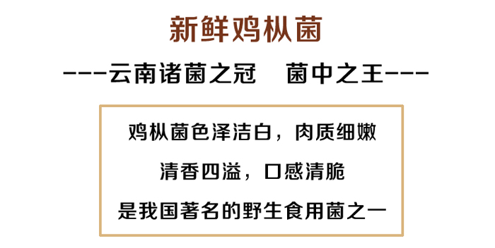 新鲜鸡枞特点