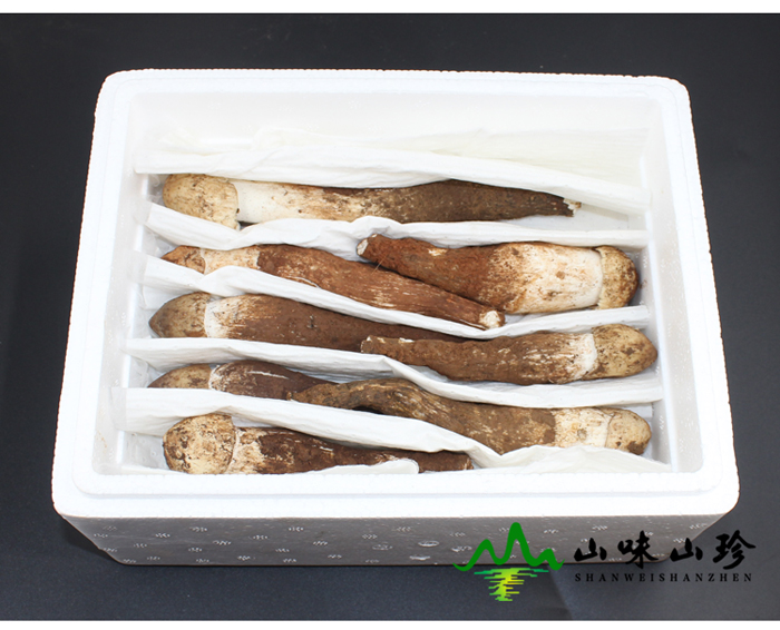 新鲜鸡枞多少钱一斤