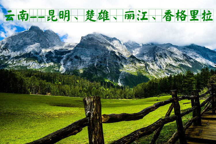羊肚菌产地