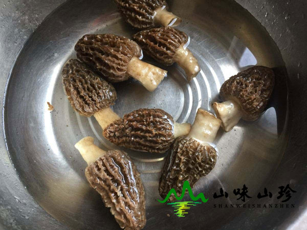 羊肚菌的清洗方法