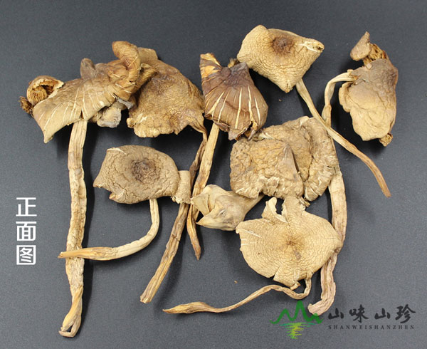干品鸡枞图二