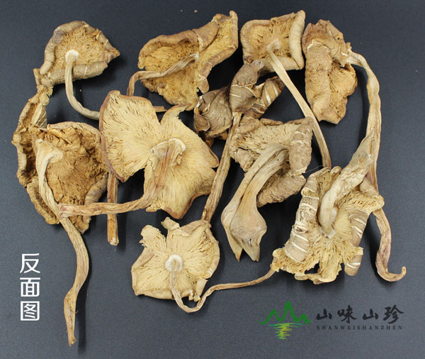 干品鸡枞图三