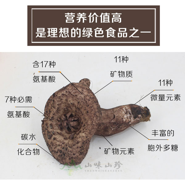 黑虎掌菌的营养价值