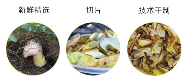 白葱菌如何干制