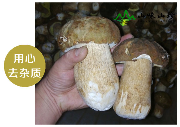 野生美味牛肝菌干制步骤