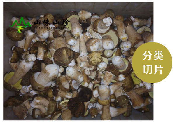 野生美味牛肝菌分类