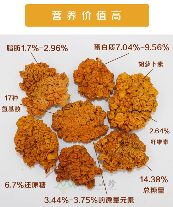 金耳的营养价值