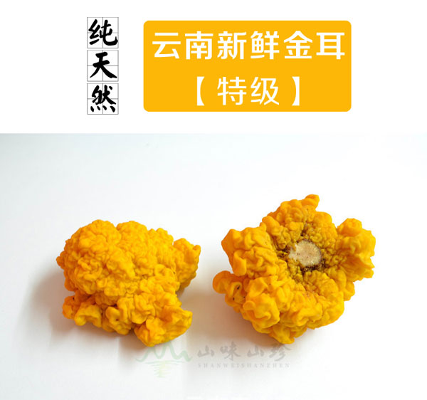 新鲜特级金耳