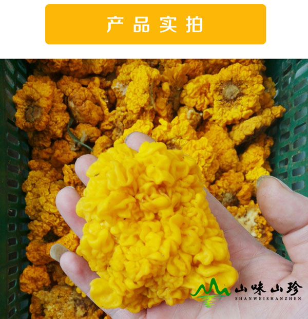 新鲜特级金耳图