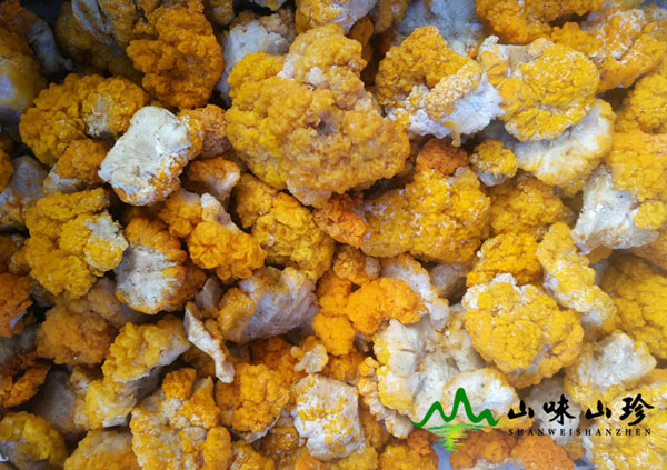 新鲜特级金耳大量现货