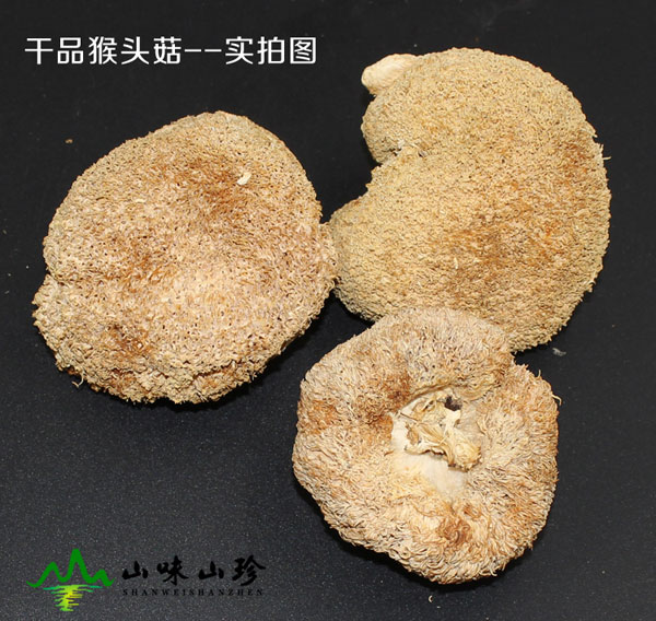 特级干品猴头菇图