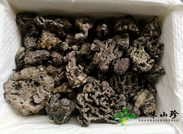 新鲜干巴菌包装