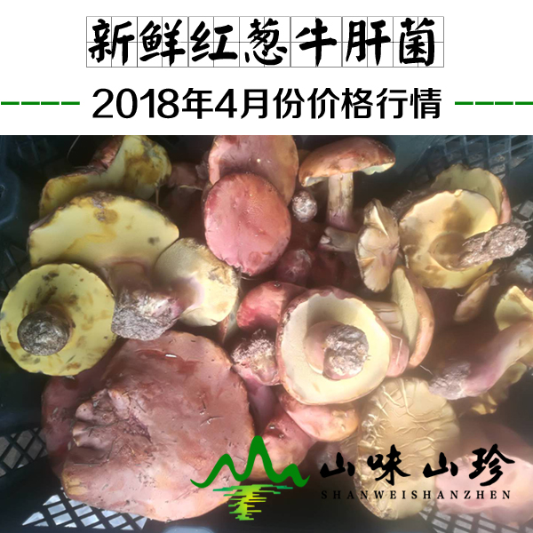 2018年4月份新鲜红葱牛肝菌价格行情