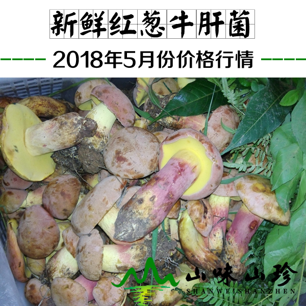2018年5月份新鲜红葱牛肝菌价格行情