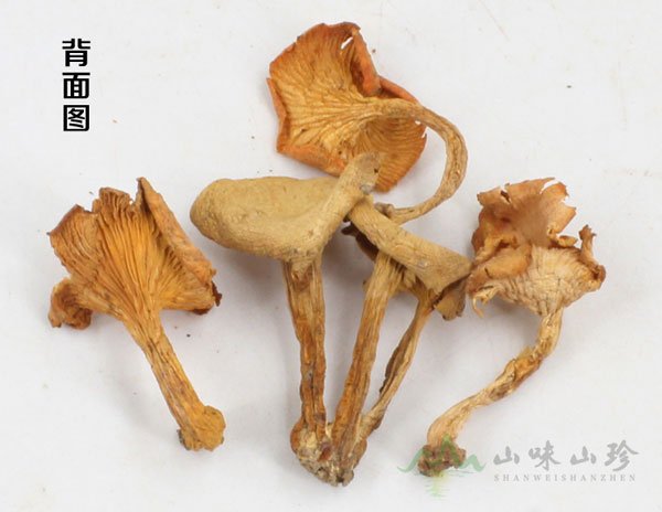 特级鸡油菌图二