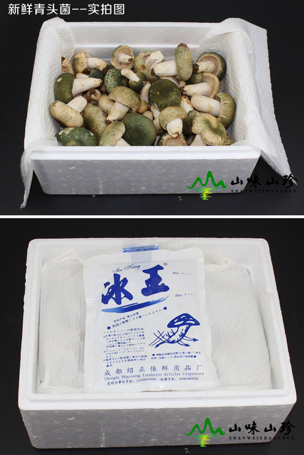 新鲜青头菌打包