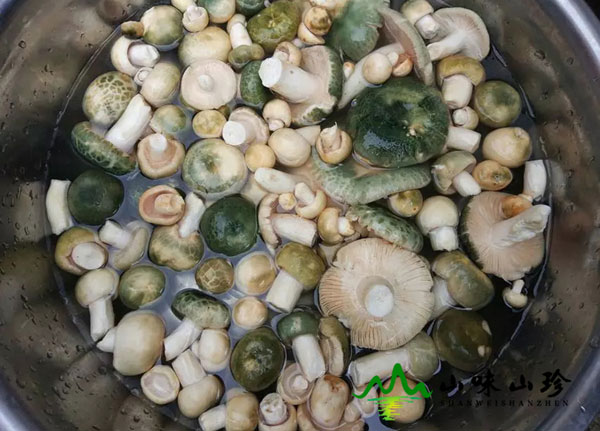 新鲜青头菌的清洗方法