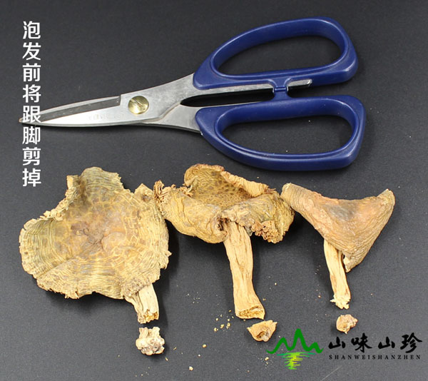 干品青头菌泡发方法