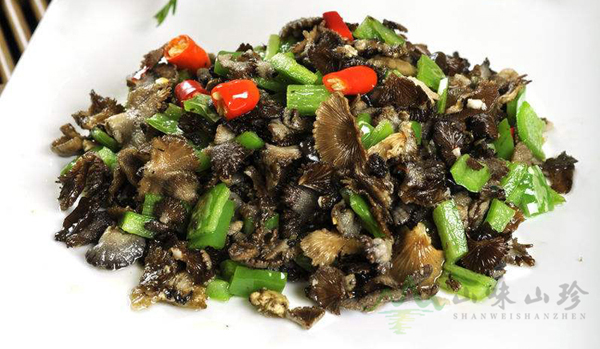 白参菌大量现货