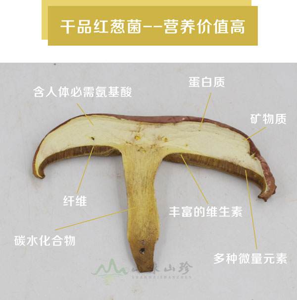 干品红葱菌营养价值