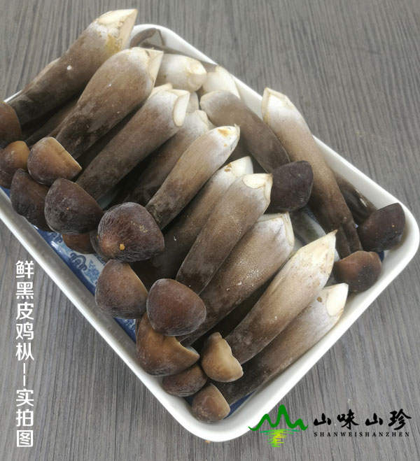 特级黑皮鸡枞菌营养价值