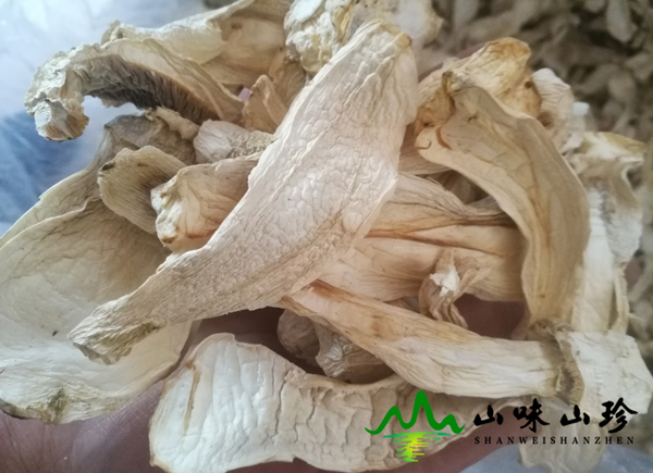 干品老人头菌产地直销