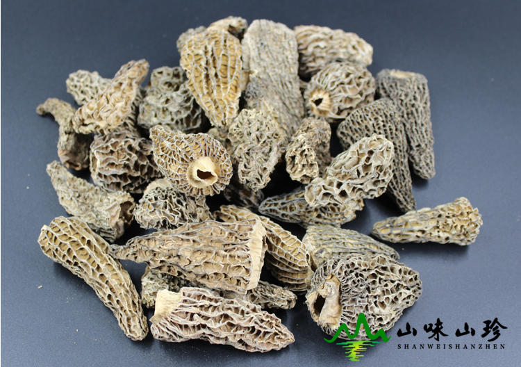 野生羊肚菌大量现货