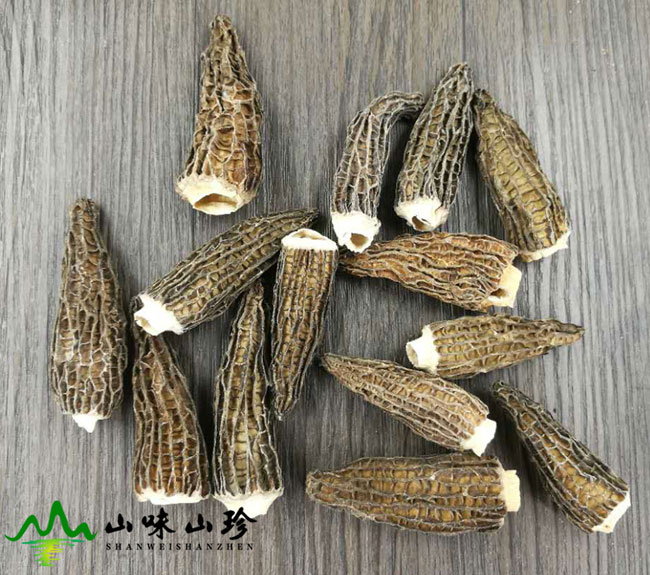 精品羊肚菌大量现货