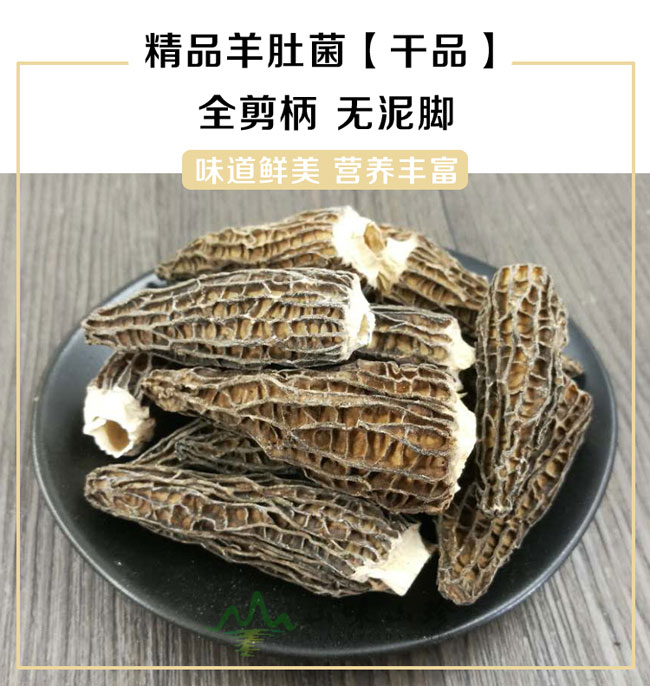 精品羊肚菌干货5-8cm