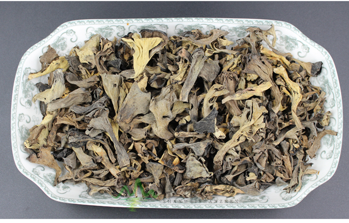 黑喇叭菌批发