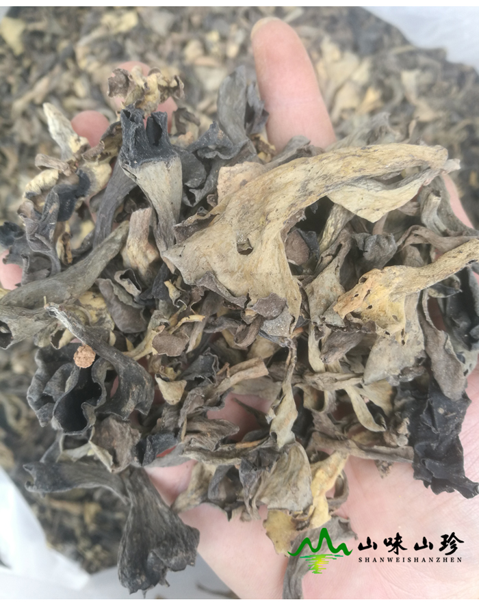 灰喇叭菌大量批发