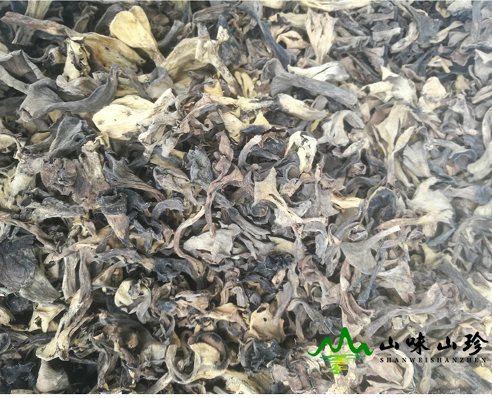 黑喇叭菌大量批发