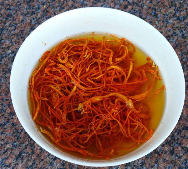 干品虫草花怎么清洗