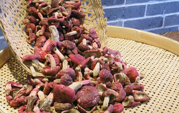 新鲜红菇干制保存